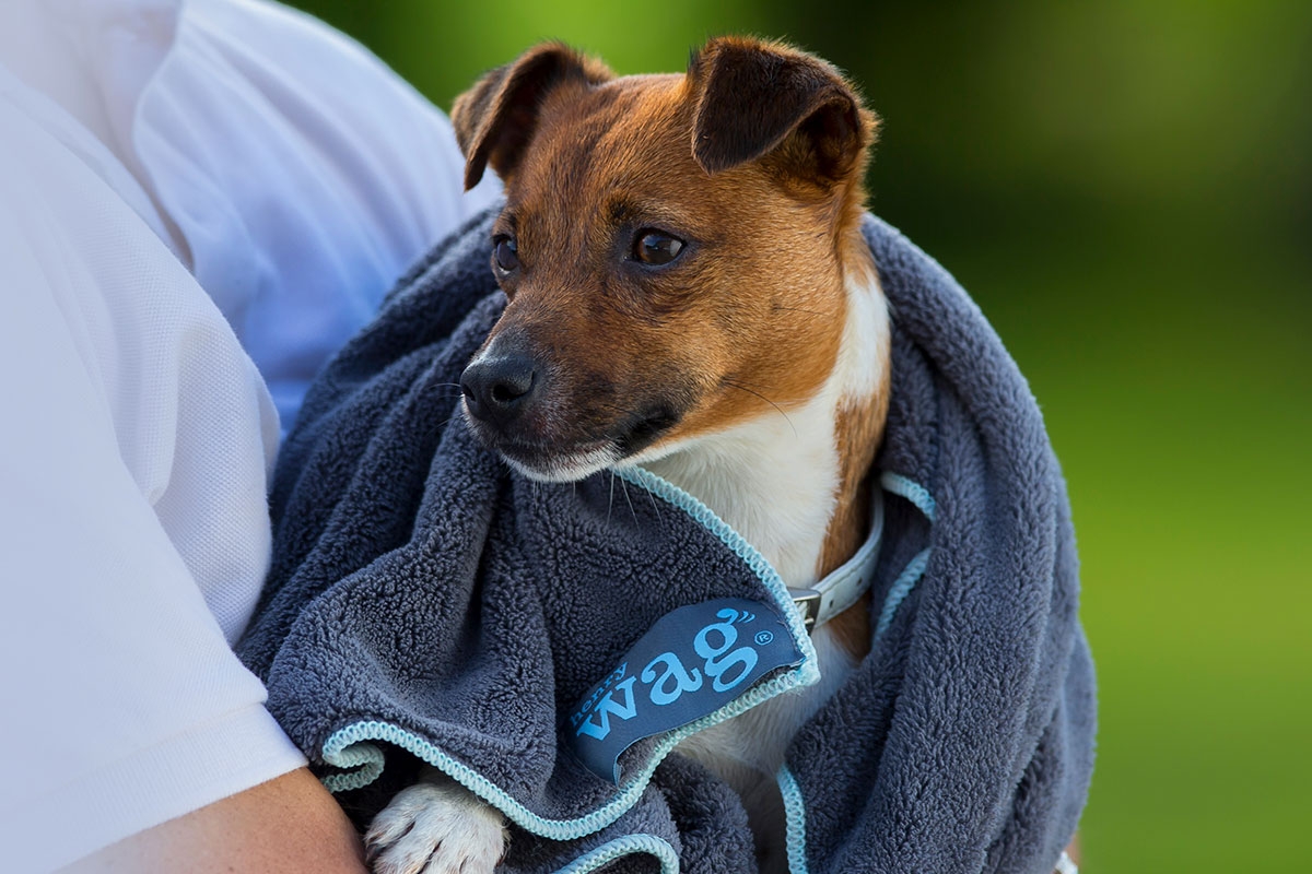HENRY WAG PET TOWEL SMALL-8130