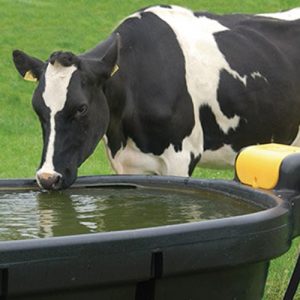 Water Troughs