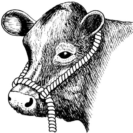 SISAL HALTER C/W RING 14MM-0