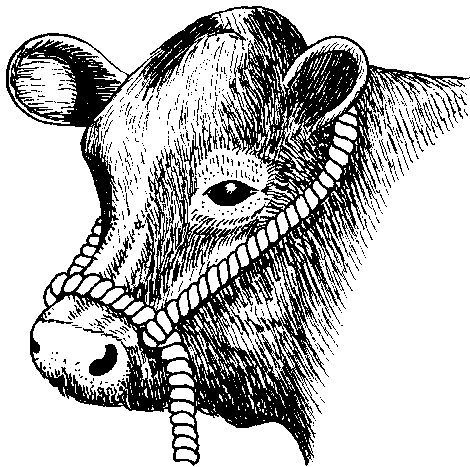 SISAL HALTER C/W RING 14MM-0