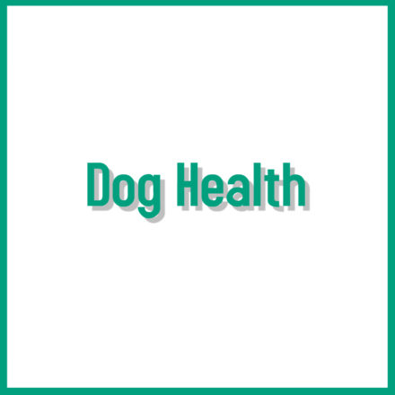 Dog Health