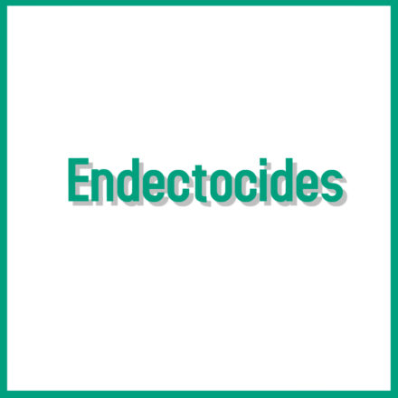 Sheep Endectocides