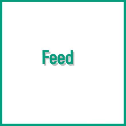 Feed