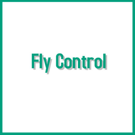 Sheep Fly Control