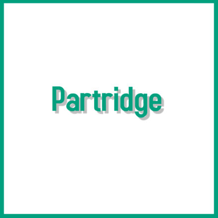 Partridge