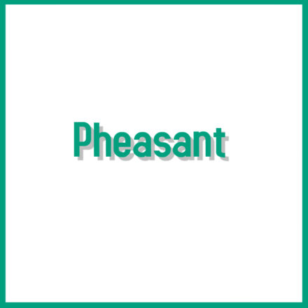 Pheasant