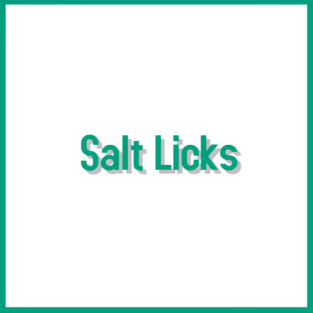 Salt Licks