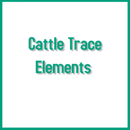 Cattle Trace Elements