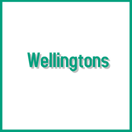 Wellingtons