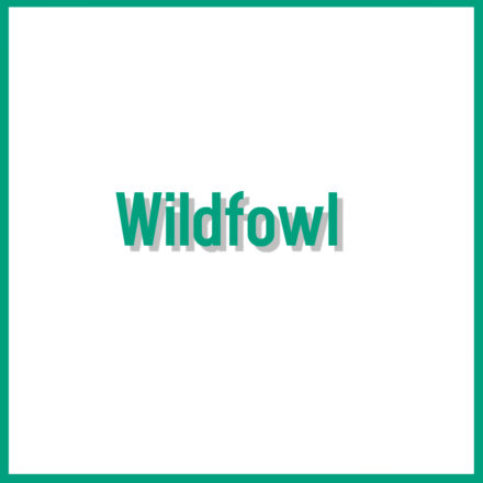 Wildfowl
